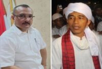 Ferdinand Hutahaean dan Jokowi (Foto Kolase)