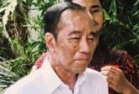 Jepretan foto salah satu awak media, terlihat wajah Jokowi dipenuhi bercak putih di pipi, dahi, hingga leher tampak memerah.