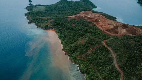 Salah satu kawasan di Raja Ampat, Papua Barat yang dijadikan lokasi pertambangan nikel (Foto: X @SocReviewId)