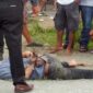 Maling motor di Deli Serdang babak belur diamuk massa (Ist)