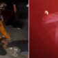 Foto kolase : Satpol PP yang melompat dari lantai 4 gedung DPRD Makassar dan seorang anggota dewan terjebak di lantas atas.