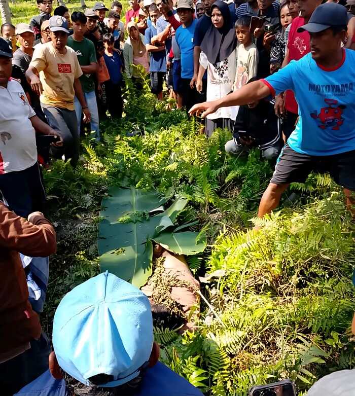 Warga berkerumun saat penemuan jasad karyawati PNM di kebun kelapa, Desa Sarjo, Pasangkayu, Sulba