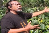 Octavianus Masheka, Ketua Taman Inspirasi Sastra Indonesia atau TISI.