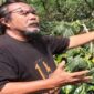 Octavianus Masheka, Ketua Taman Inspirasi Sastra Indonesia atau TISI.