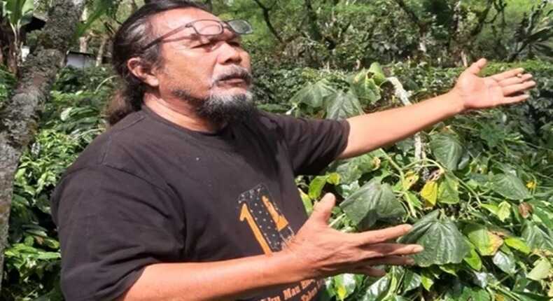 Octavianus Masheka, Ketua Taman Inspirasi Sastra Indonesia atau TISI.