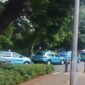 Sejumlah taksi Blue Bird terparkir di pinggir jalan dan menggunakan trotoar.