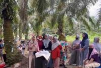 Sejumlah warga Desa Rampoang berkumpul di area kebun sawit saat menyampaikan keluhan terkait polemik pembangunan Yon TP 872/Andi Jemma di Kecamatan Tanalili, Luwu Utara.