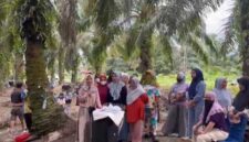 Sejumlah warga Desa Rampoang berkumpul di area kebun sawit saat menyampaikan keluhan terkait polemik pembangunan Yon TP 872/Andi Jemma di Kecamatan Tanalili, Luwu Utara.