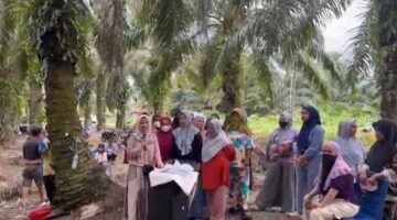 Sejumlah warga Desa Rampoang berkumpul di area kebun sawit saat menyampaikan keluhan terkait polemik pembangunan Yon TP 872/Andi Jemma di Kecamatan Tanalili, Luwu Utara.