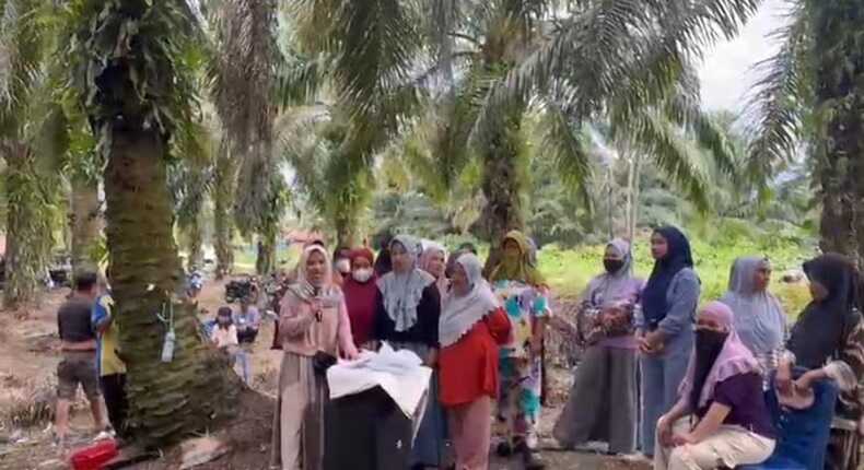 Sejumlah warga Desa Rampoang berkumpul di area kebun sawit saat menyampaikan keluhan terkait polemik pembangunan Yon TP 872/Andi Jemma di Kecamatan Tanalili, Luwu Utara.