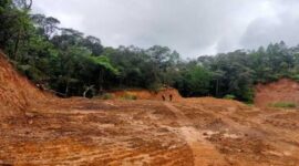 Hutan Lindung Bawakaraeng–Lompobattang yang dirusak dan digunduli akibat perambahan ilegal