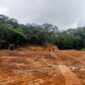 Hutan Lindung Bawakaraeng–Lompobattang yang dirusak dan digunduli akibat perambahan ilegal