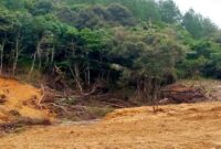 Sebagian area hutan lindung di Malino, Kecamatan Tombolopao, Gowa, tampak gundul dan mengalami kerusakan parah. Pohon-pohon tumbang dan tanah terkelupas memperlihatkan dugaan kuat adanya aktivitas ilegal logging dan perambahan besar-besaran oleh mafia kayu.