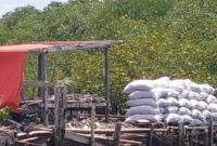 Tumpukan karung berisi arang hasil pembakaran kayu mangrove terlihat di kawasan pesisir Kepulauan Tanakeke, Kabupaten Takalar, Sulawesi Selatan, yang diduga siap didistribusikan ke luar daerah.
