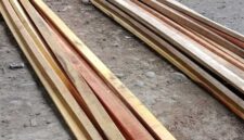 Penampakan kayu yang diterima warga. Sesuai RAB seharusnya kayu kelas dua, namun yang datang justru kayu mangga.