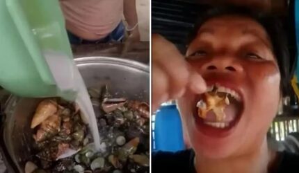 Demi Konten, Influencer Kuliner Asal Filipina Tewas Usai Santap “Kepiting Setan”