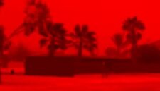 Tangkapan layar video viral memperlihatkan langit berwarna merah pekat di wilayah Shark Bay, Australia Barat saat fenomena badai debu yang dipicu Topan Tropis Narelle