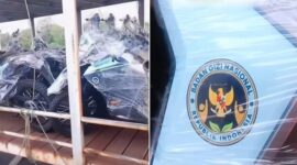 Foto Kolase – Motor listrik berlogo Badan Gizi Nasional (BGN) viral.