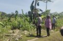Petugas bersama pihak terkait saat berada di lokasi dugaan pengrusakan lingkungan dan penebangan pohon di wilayah Barombong yang dilaporkan oleh ahli waris Tamanggong Daeng Lira
