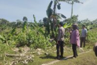 Petugas bersama pihak terkait saat berada di lokasi dugaan pengrusakan lingkungan dan penebangan pohon di wilayah Barombong yang dilaporkan oleh ahli waris Tamanggong Daeng Lira