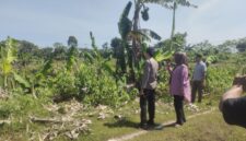 Petugas bersama pihak terkait saat berada di lokasi dugaan pengrusakan lingkungan dan penebangan pohon di wilayah Barombong yang dilaporkan oleh ahli waris Tamanggong Daeng Lira