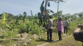 Petugas bersama pihak terkait saat berada di lokasi dugaan pengrusakan lingkungan dan penebangan pohon di wilayah Barombong yang dilaporkan oleh ahli waris Tamanggong Daeng Lira