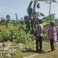 Petugas bersama pihak terkait saat berada di lokasi dugaan pengrusakan lingkungan dan penebangan pohon di wilayah Barombong yang dilaporkan oleh ahli waris Tamanggong Daeng Lira