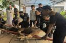 Sejumlah karyawan dan manajemen MaxOne Hotel & Resort Makassar bersama tokoh agama memegang hewan kurban sesaat sebelum prosesi penyembelihan di area sekitar hotel, Rabu (27/5/2026).