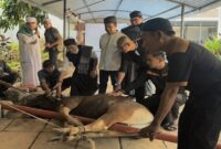 Sejumlah karyawan dan manajemen MaxOne Hotel & Resort Makassar bersama tokoh agama memegang hewan kurban sesaat sebelum prosesi penyembelihan di area sekitar hotel, Rabu (27/5/2026).