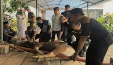 Sejumlah karyawan dan manajemen MaxOne Hotel & Resort Makassar bersama tokoh agama memegang hewan kurban sesaat sebelum prosesi penyembelihan di area sekitar hotel, Rabu (27/5/2026).