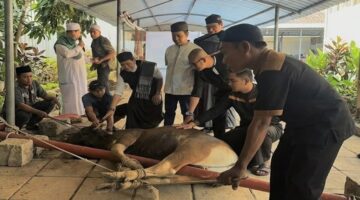 Sejumlah karyawan dan manajemen MaxOne Hotel & Resort Makassar bersama tokoh agama memegang hewan kurban sesaat sebelum prosesi penyembelihan di area sekitar hotel, Rabu (27/5/2026).