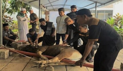 Sejumlah karyawan dan manajemen MaxOne Hotel & Resort Makassar bersama tokoh agama memegang hewan kurban sesaat sebelum prosesi penyembelihan di area sekitar hotel, Rabu (27/5/2026).