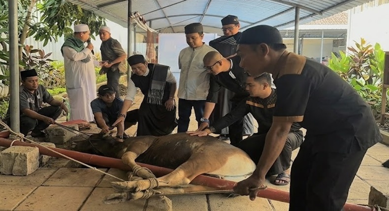 Sejumlah karyawan dan manajemen MaxOne Hotel & Resort Makassar bersama tokoh agama memegang hewan kurban sesaat sebelum prosesi penyembelihan di area sekitar hotel, Rabu (27/5/2026).