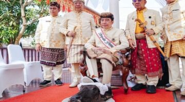 Jokowi mengikuti prosesi adat di Lampung dengan menginjak kepala kerbau sebagai bagian dari ritual penghormatan. Momen tersebut kemudian memicu beragam tafsir politik dan polemik antara PDIP dan PSI. (Foto Ist)