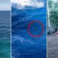 Tangkapan layar video yang memperlihatkan lokasi wisata Tebing Apparalang di Kabupaten Bulukumba, kondisi korban saat terombang-ambing di laut usai diterjang ombak (lingkaran merah), serta foto Elmi (17), siswi SMA yang dilaporkan hilang dan masih dalam pencarian tim SAR gabungan, Minggu (7/6/2026). 