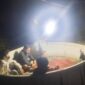 Aparat kepolisian saat menggerebek arena judi sabung ayam di Lingkungan Ammarang, Kelurahan Borong, Kecamatan Tanralili, Maros, Minggu (12/7/2026). Lima orang diamankan, termasuk seorang oknum Satpol PP. (Foto : Ist)