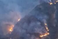 Tangkapan layar video yang beredar di media sosial memperlihatkan kobaran api dan kepulan asap membumbung tinggi melahap kawasan hutan pinus di lereng Gunung Nona, Kabupaten Enrekang, Sulawesi Selatan, Sabtu (15/8/2026).