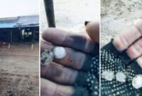Tangkapan layar video yang merekam fenomena hujan es di Kecamatan Seko, Luwu Utara, menampilkan suasana warga berlari saat hujan lebat (kiri) dan dua gambar detail tangan menunjukkan butiran es berukuran besar (tengah dan kanan).