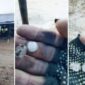 Tangkapan layar video yang merekam fenomena hujan es di Kecamatan Seko, Luwu Utara, menampilkan suasana warga berlari saat hujan lebat (kiri) dan dua gambar detail tangan menunjukkan butiran es berukuran besar (tengah dan kanan).