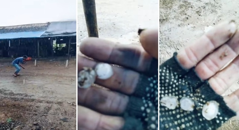 Tangkapan layar video yang merekam fenomena hujan es di Kecamatan Seko, Luwu Utara, menampilkan suasana warga berlari saat hujan lebat (kiri) dan dua gambar detail tangan menunjukkan butiran es berukuran besar (tengah dan kanan).