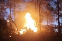 Tangkapan layar video memperlihatkan api sedang melalap kawasan hutan pinus di wilayah Bulu Salili, Kelurahan Malino, Kecamatan Tinggimoncong, Kabupaten Gowa, Sulawesi Selatan, Rabu (19/8/2026) petang. Luas area hutan yang terbakar diperkirakan mencapai dua hektare sebelum akhirnya berhasil dipadamkan tim gabungan.
