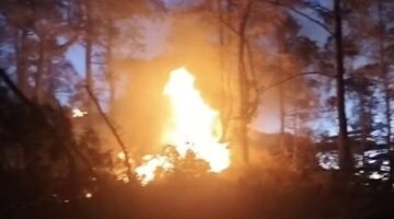 Tangkapan layar video memperlihatkan api sedang melalap kawasan hutan pinus di wilayah Bulu Salili, Kelurahan Malino, Kecamatan Tinggimoncong, Kabupaten Gowa, Sulawesi Selatan, Rabu (19/8/2026) petang. Luas area hutan yang terbakar diperkirakan mencapai dua hektare sebelum akhirnya berhasil dipadamkan tim gabungan.