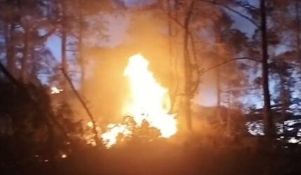 Tangkapan layar video memperlihatkan api sedang melalap kawasan hutan pinus di wilayah Bulu Salili, Kelurahan Malino, Kecamatan Tinggimoncong, Kabupaten Gowa, Sulawesi Selatan, Rabu (19/8/2026) petang. Luas area hutan yang terbakar diperkirakan mencapai dua hektare sebelum akhirnya berhasil dipadamkan tim gabungan.