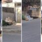Potret tumpukan sampah rumah tangga di sejumlah titik di Kelurahan Borong, Kecamatan Manggala, Kota Makassar, yang disebut warga tidak diangkut selama lima hari. (Foto kolase)