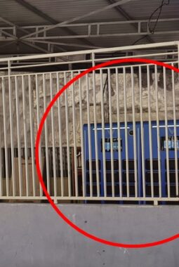 VinFast Diduga Penipu Ulung, Jual Unit Tanpa Baterai, Gowa-Maros Dikadalin