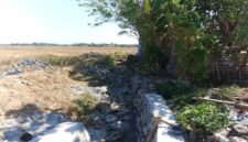 Kondisi proyek rehabilitasi jaringan irigasi Daerah Irigasi (DI) Pamukkulu di Kabupaten Takalar yang mangkrak dan belum rampung, memperlihatkan material batu serta struktur saluran yang terbengkalai di area persawahan.