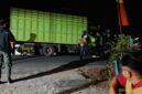 Truk bermuatan balok kayu yang diamankan petugas KPH Rongkong di Jalur Trans Provinsi Sabbang-Tallang Sae, Luwu Utara, Kamis (17/9/2026). Kasus tersebut kini dalam pemeriksaan Unit Tipiter Polres Luwu Utara.