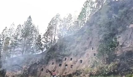 Makam Tebing Toraja Utara Dilahap Karhutla, 270 Jenazah Berakhir Jadi Abu