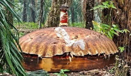 Benda logam berukuran besar menyerupai cangkang atau kubah ditemukan di perkebunan kelapa sawit PT Agro Bukit, Kilometer 26, Kabupaten Kotawaringin Timur (Kotim), Kalimantan Tengah. Asal-usul dan identitas benda tersebut belum diketahui secara resmi.